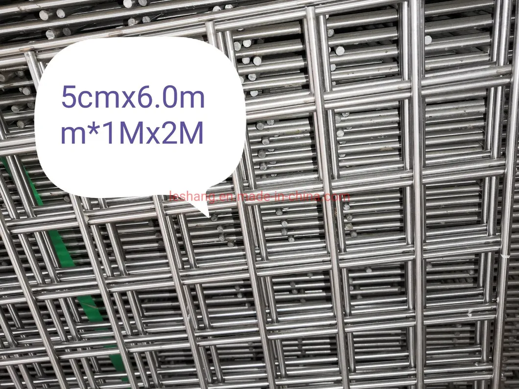Stainless Steel Mesh