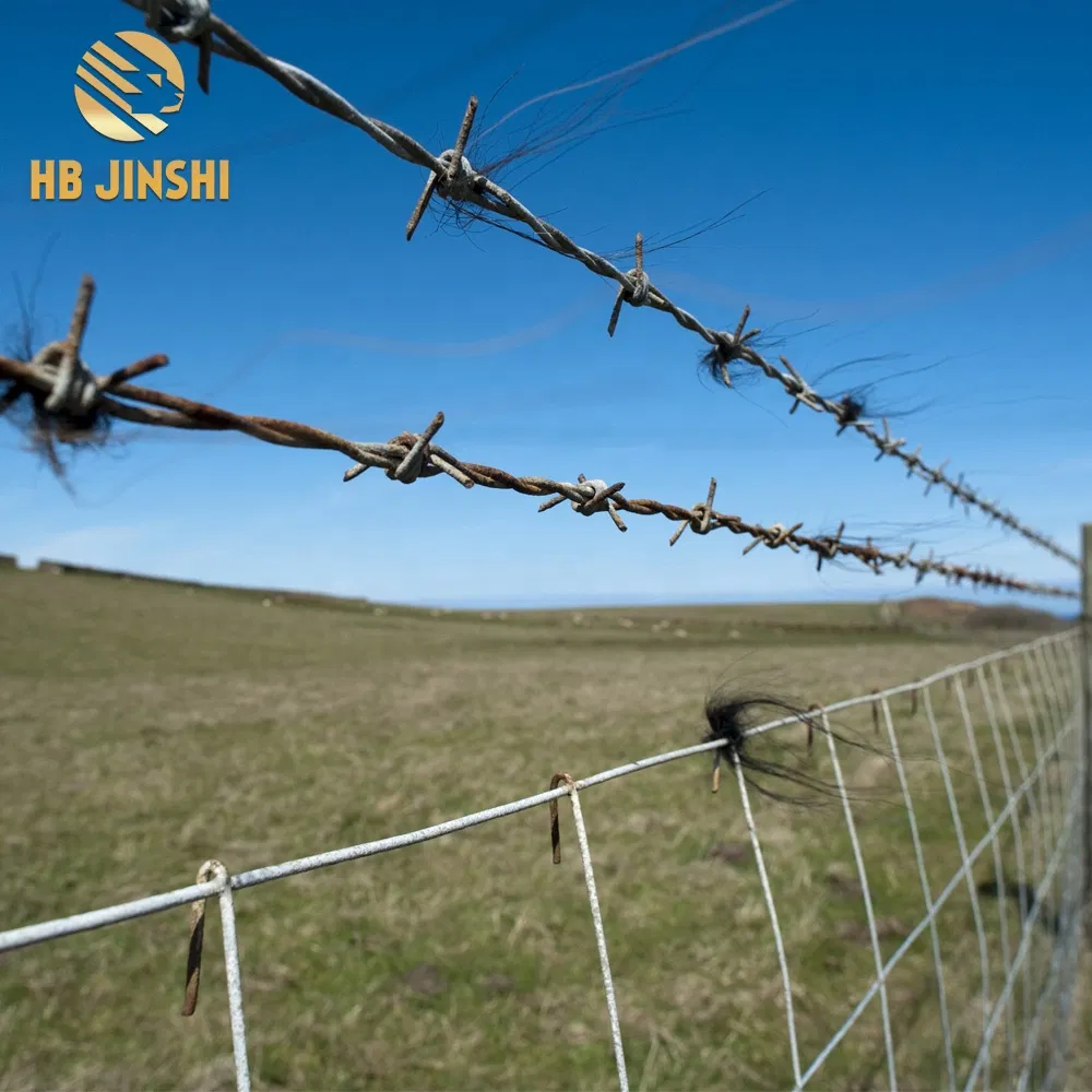 Durable Double Strands Barbed Wire Fence for Secure T Post Installation