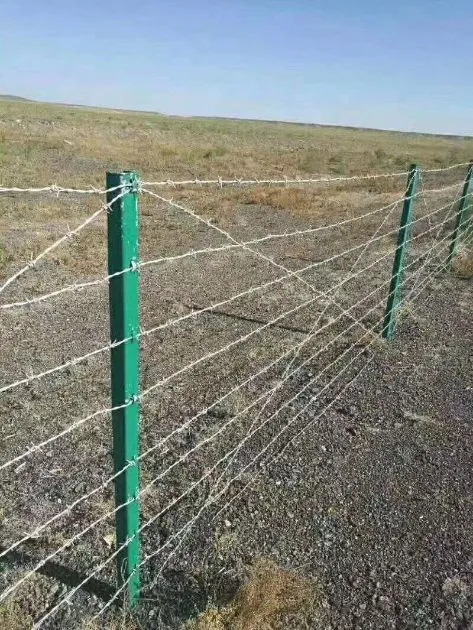 Protective Fence Installation