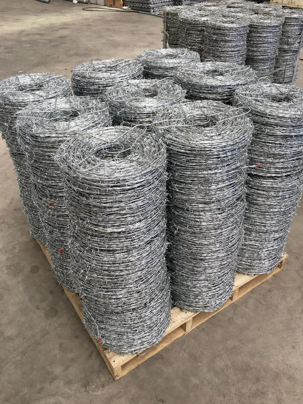 Barbed Wire Feature 2