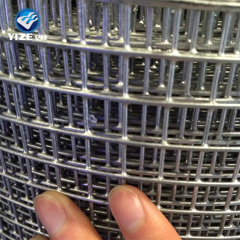 Wire Mesh Supplier Direct Galvanized Welded Wire Mesh Stainless Steel/PVC Coated