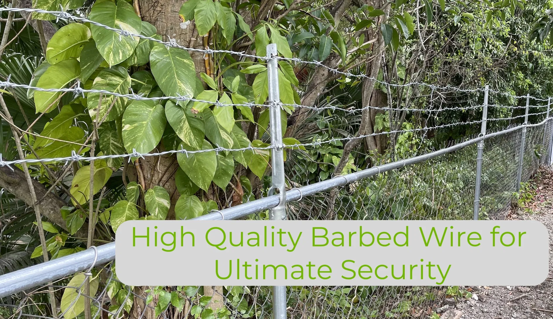 High Tensile Barbed Wire