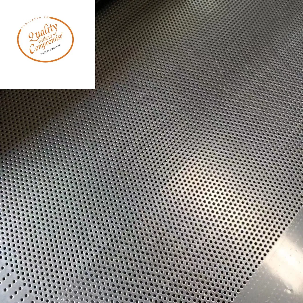 Perforated Metal Mesh 9