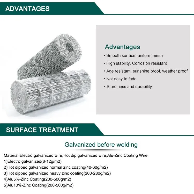 Welded Wire Mesh Photo 8