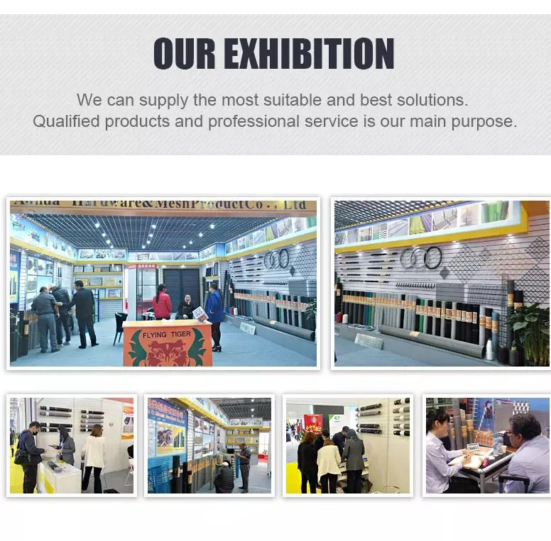 Mesh Application Display