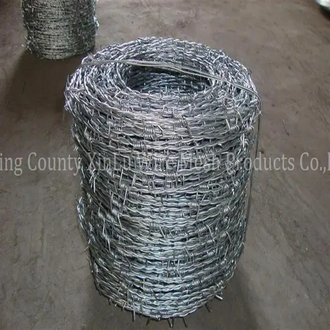 Barbed Wire Mesh 1