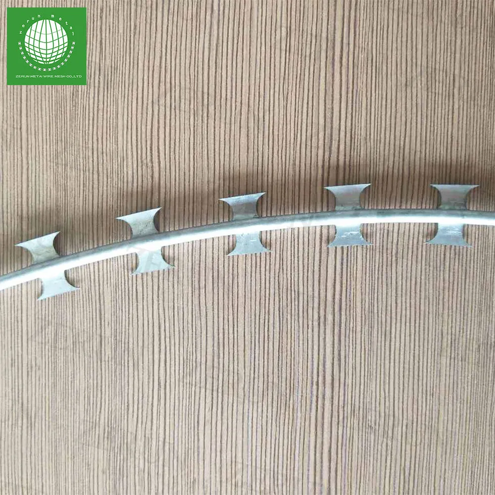 Galvanized Barbed Wire / Razor Barbed Wire / Security Wire / Fencing Wire / Farm Wire for Perimeter Protection