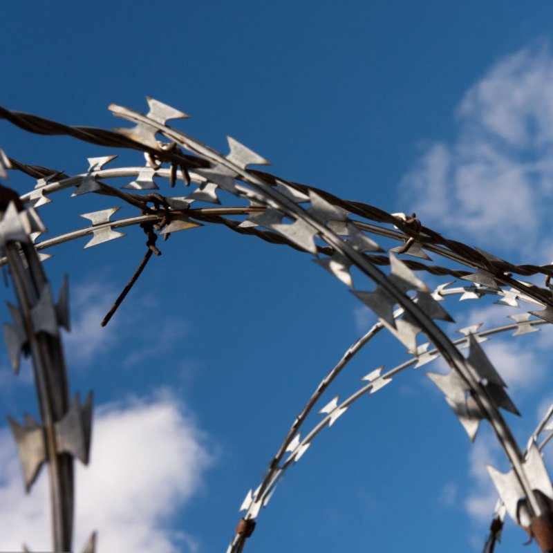 Galvanized Security Concertina Price Anti Climb Blade Barbed Wire Prison Razor Barbed Wire