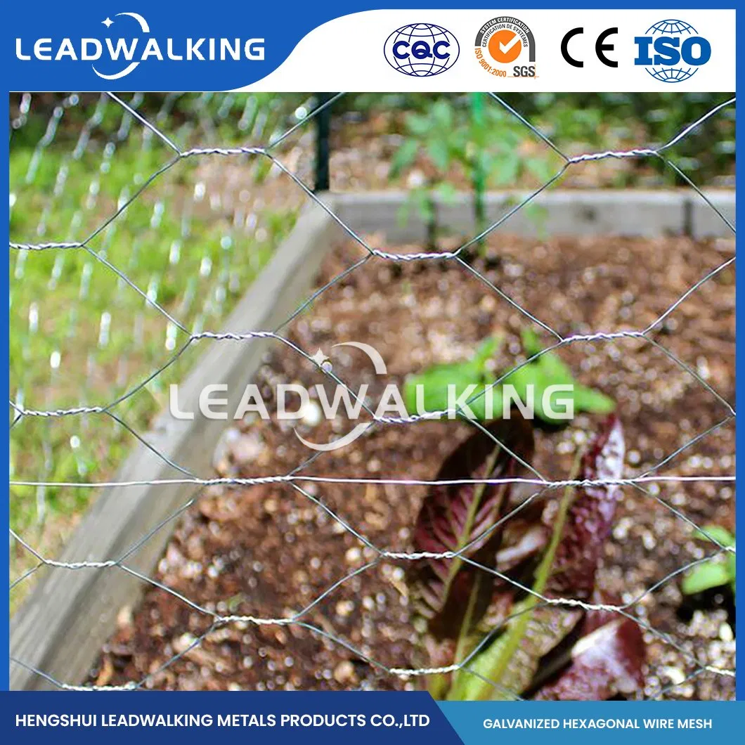 Leadwalking China 5FT Poultry Netting Manufacturing Copper Wire Material 19mm Mesh PVC Coated Hexagonal Hexagonal Mesh Woven Hexagonal Galvanized Cage Net