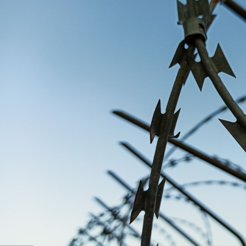 Galvanized Security Concertina Price Anti Climb Blade Barbed Wire Prison Razor Barbed Wire