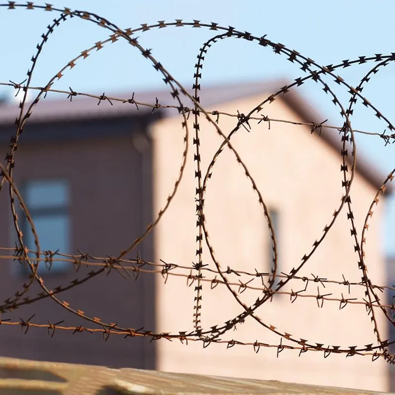 Galvanized Security Razor Barbed Wire
