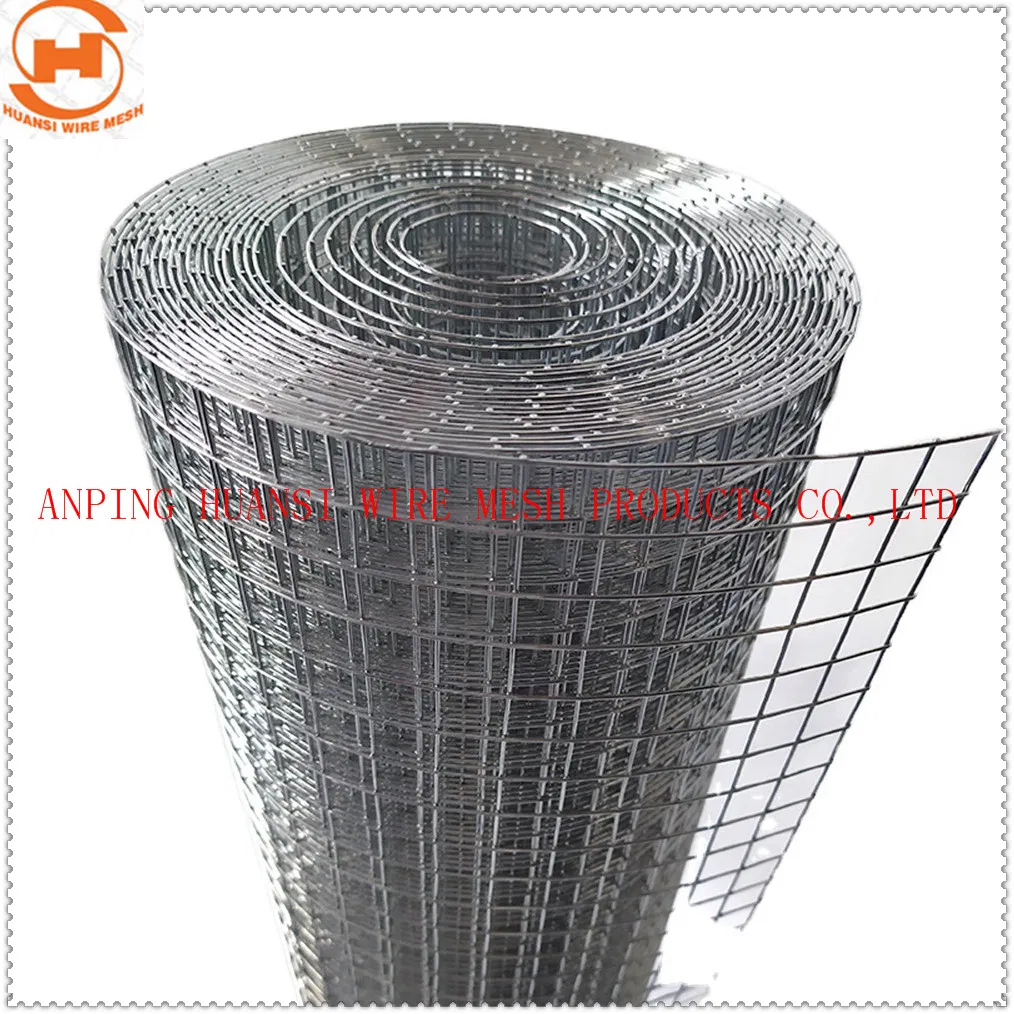 Stainless Steel 304/316/Galvanized/PVC Coated Welded Wire Mesh for Building
