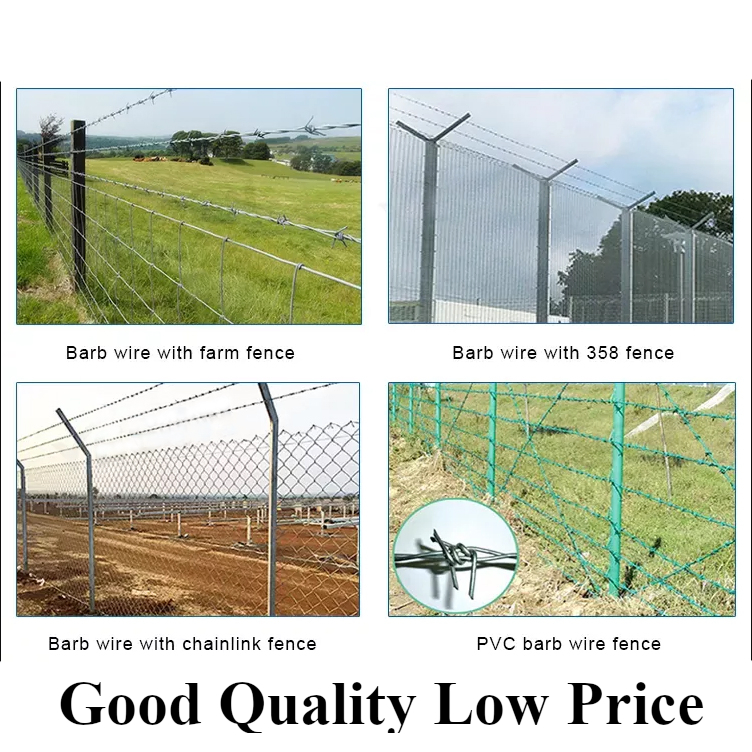 Wholesale High Strength Barbed Wire Mesh Roll Double Strands for Fencing Security