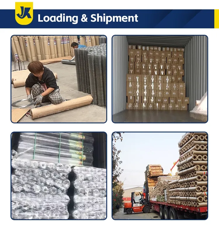 Welded Wire Mesh Detail 5