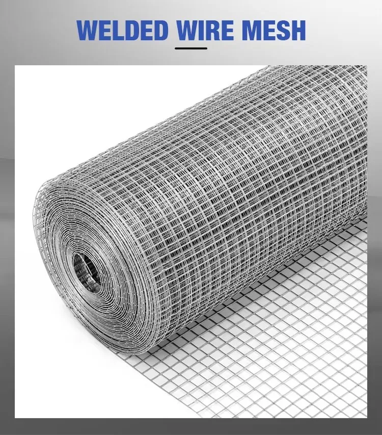 Welded Wire Mesh