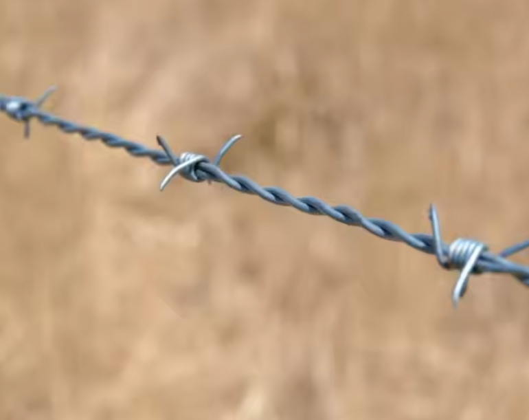 Direct Factory PVC Coated Barbed Wire for Farm &amp; Prison Safety