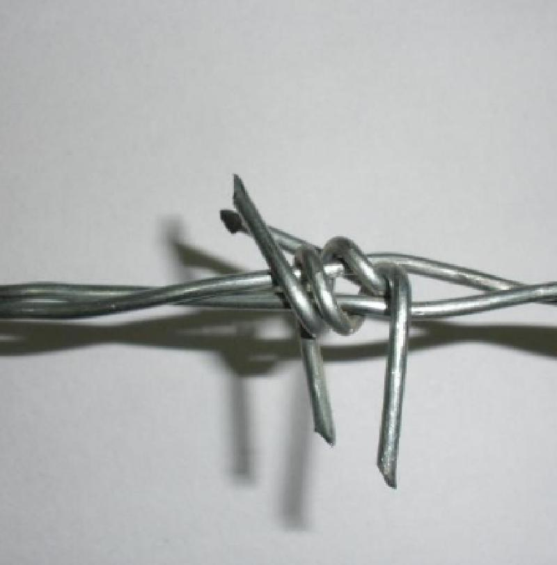 Factory Price 14 Gauge Barbed Wire Hot Dipped Galvanized Double Strand Barbed Wire Roll for Farm Fencing