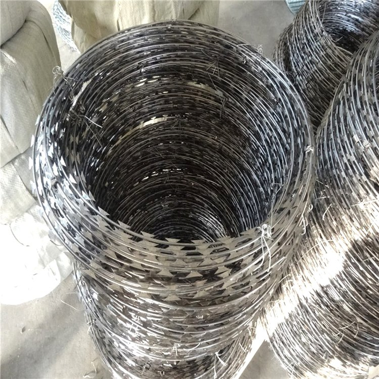 Prison Mesh Fence Hot Dipped Galvanized Cbt65 Bto30 Bto-22 Roll Concertina Double Strand Razor Blade Barbed Wire