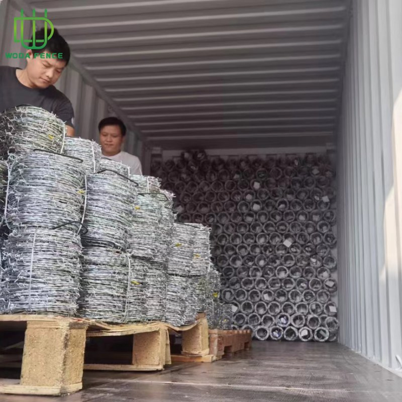 High Tensile Concertina Barbed Wire Coil for Industrial Site Security