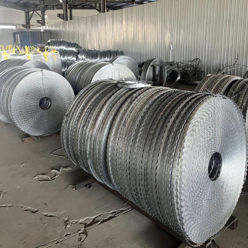 Hot Selling Hot Dipped Galvanized Egoza Wire Cbt65/ Bto30/ Bto-22 Roll Concertina Double Strand Razor Blade Barbed Wire
