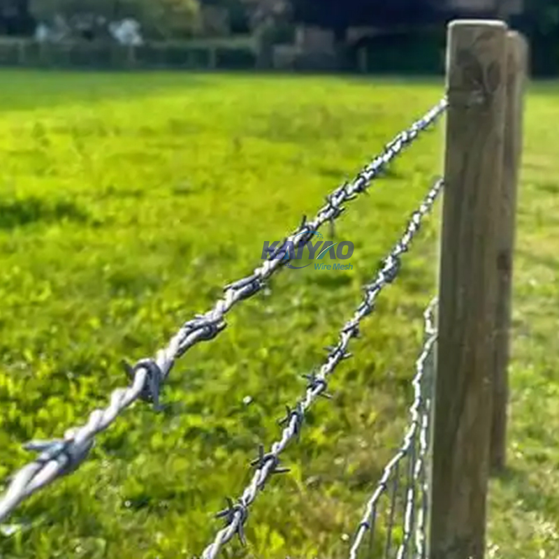Durable Galvanized Blade Razor Barbed Wire for Prison, Farm &amp; Border Protection