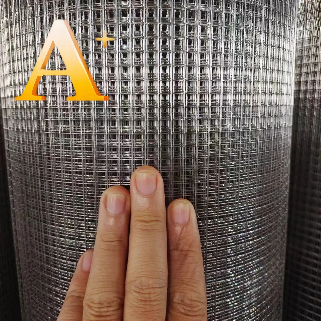 Welded Wire Mesh Photo 18