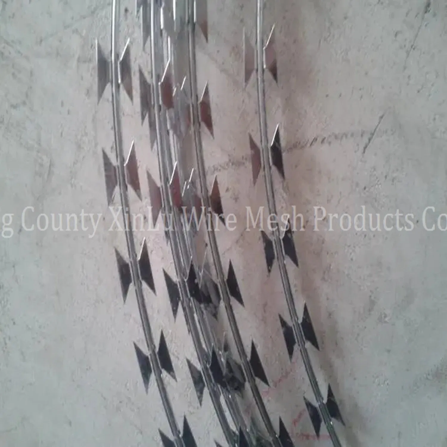 ISO 9001 PVC Coated Barbed Wire Mesh (China Facotry)