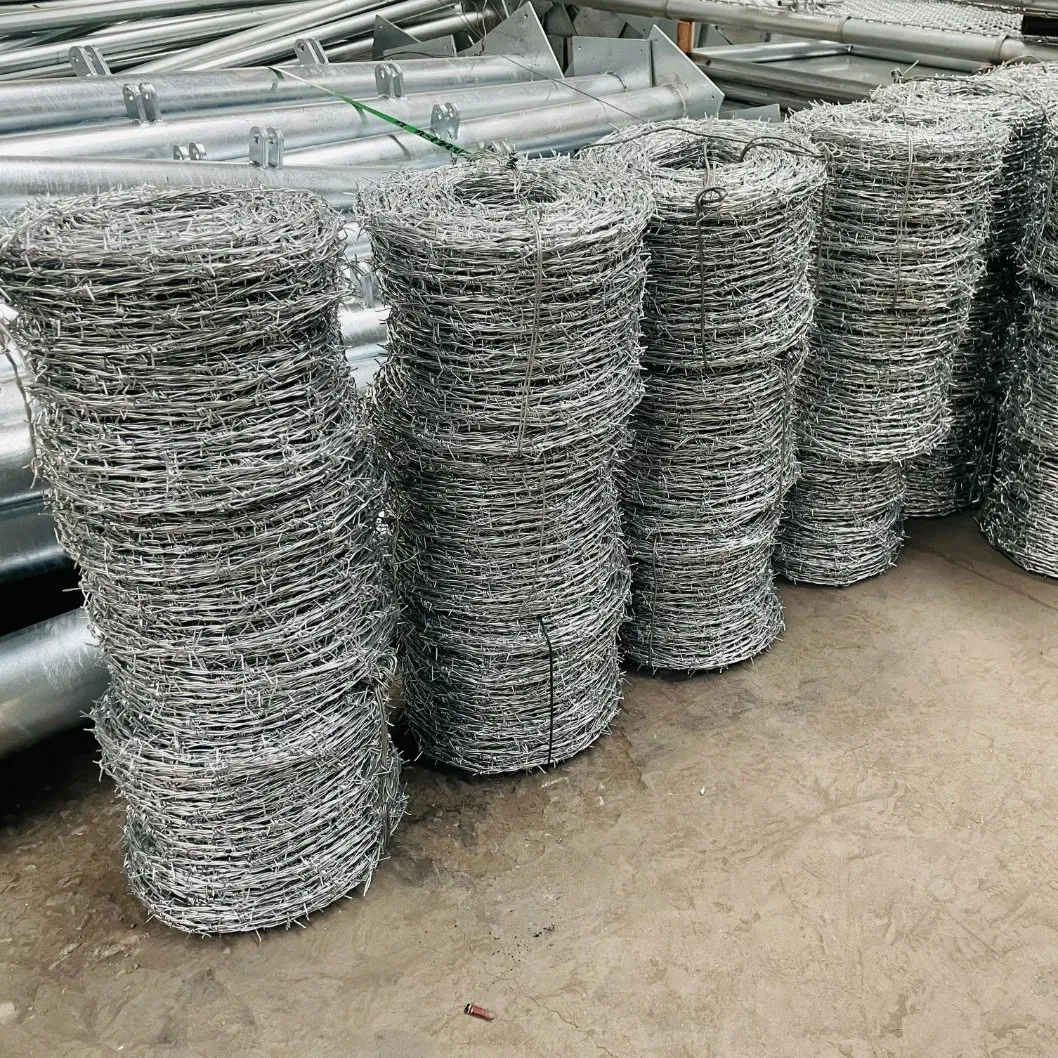 Heavy Galvanized Reverse Twisted High Tensile Barbed Wire