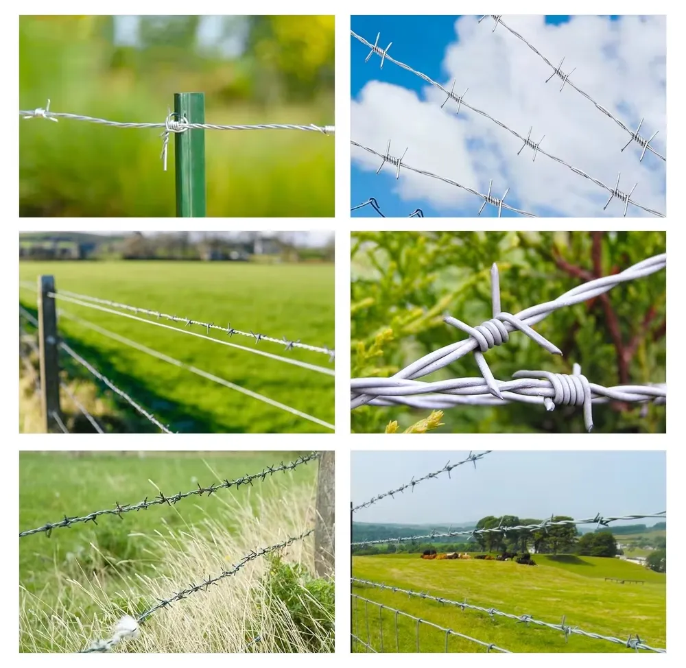 Double Strand Barbed Wire