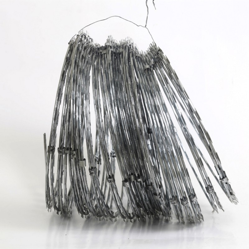 Factory Price Bto-10 Bto-22 Bto-30 Cbt-60 Cbt-65 Stainless Steel Galvanized Steel PVC Coated Security Razor Wire Mesh Fence Concertina Razor Barbed Wire