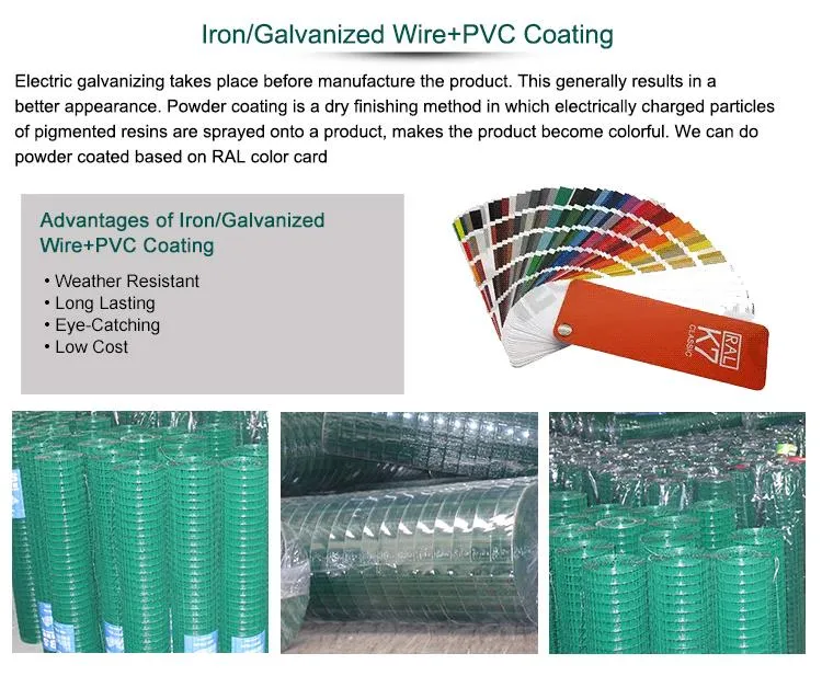 Welded Wire Mesh Photo 6