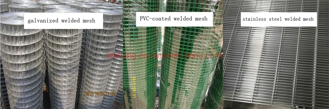 Welded Wire Mesh Type 1