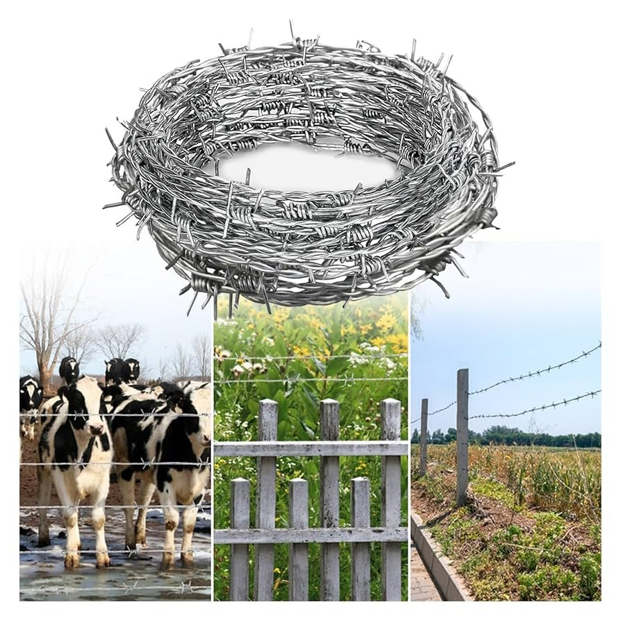 Double Strand Galvanized Iron Wire Barbed Wire Coil for Farm Fencing