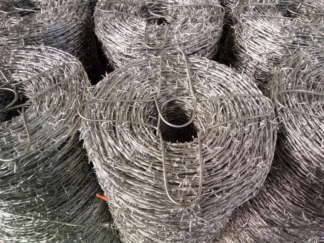 Barbed Wire Feature 3