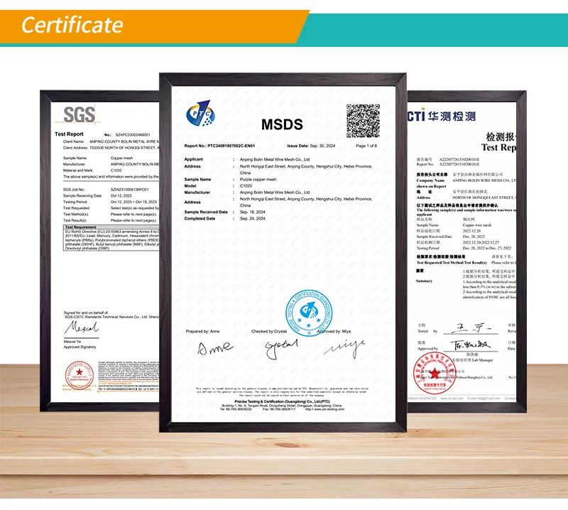 Sintered Wire Mesh Plate Discs 10