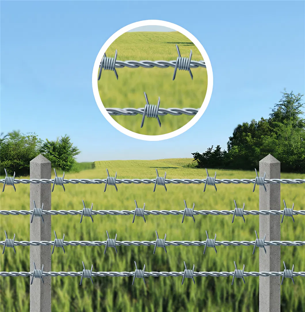 Barbed Wire Overview