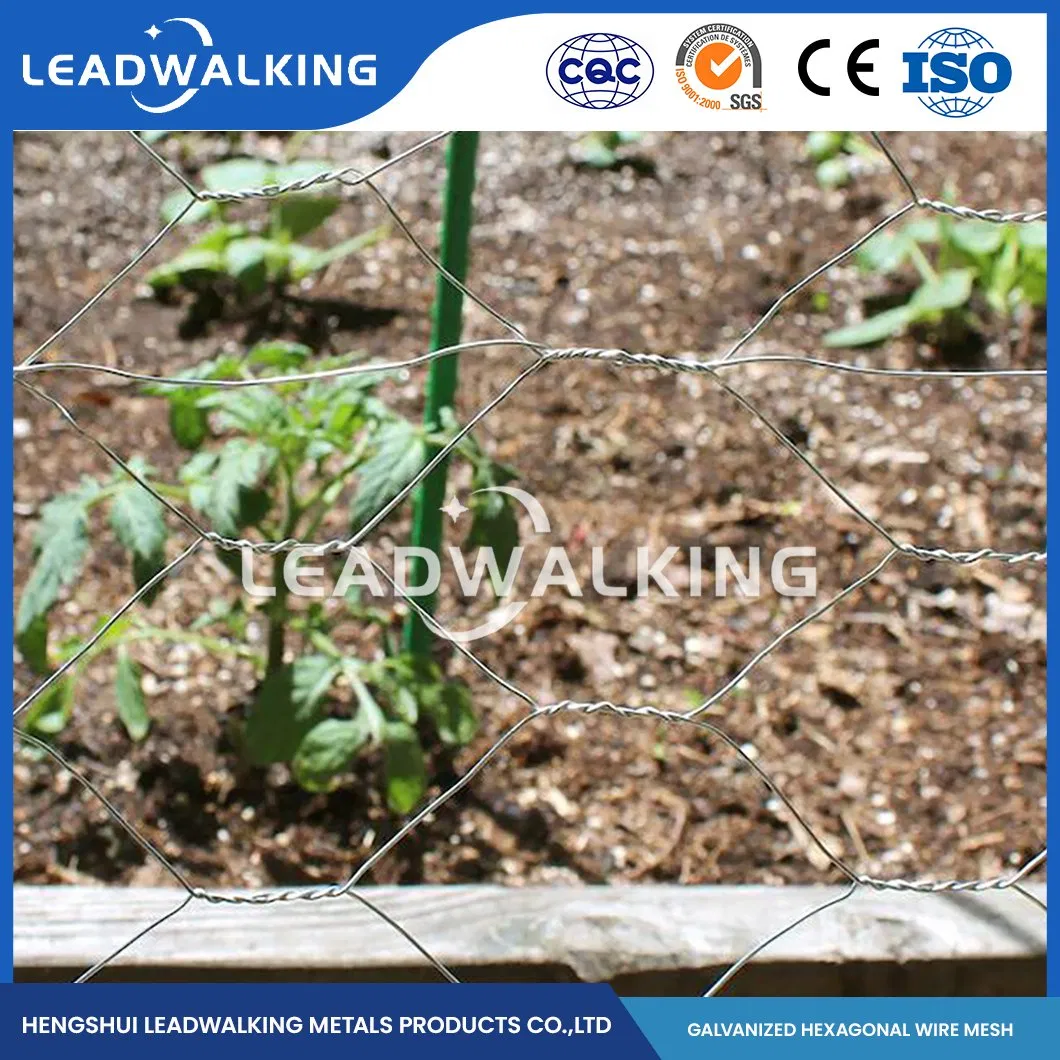 Leadwalking China 5FT Poultry Netting Manufacturing Copper Wire Material 19mm Mesh PVC Coated Hexagonal Hexagonal Mesh Woven Hexagonal Galvanized Cage Net