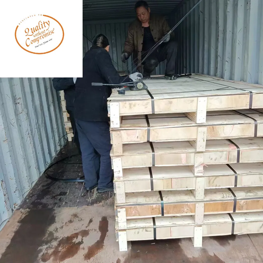 Perforated Metal Mesh 12