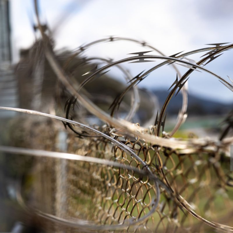 Galvanized Security Concertina Price Anti Climb Blade Barbed Wire Prison Razor Barbed Wire