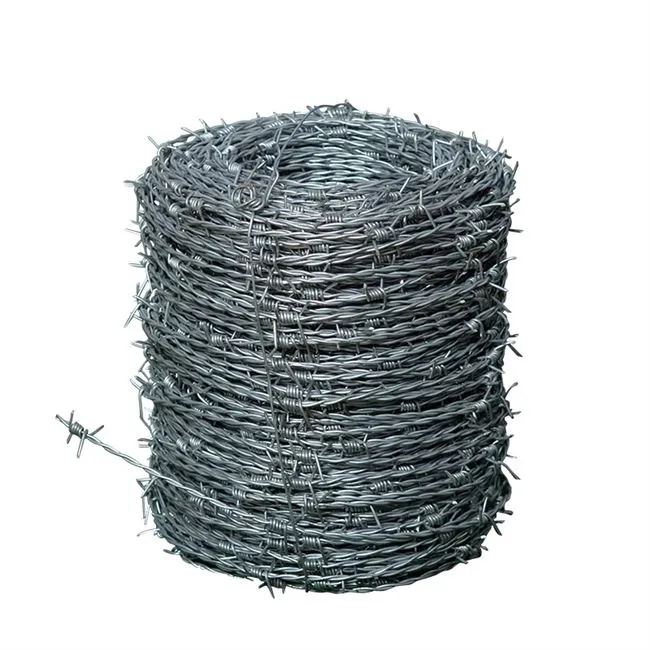 Barbed Wire Detail