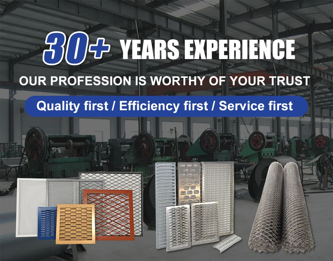 Expanded Metal Wire Mesh 1