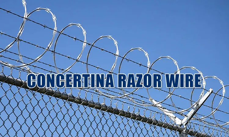 Razor Barbed Wire Detail