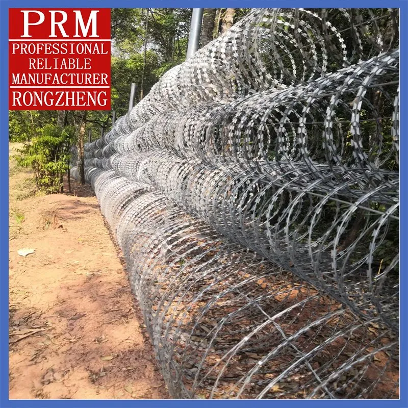 Razor Barbed Wire Detail