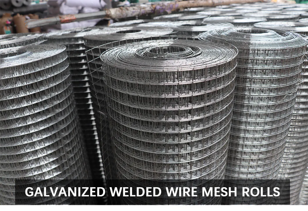 Mesh Production