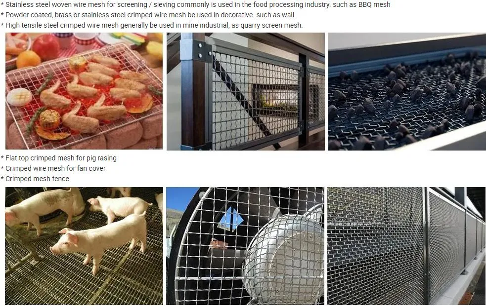 Application Large View