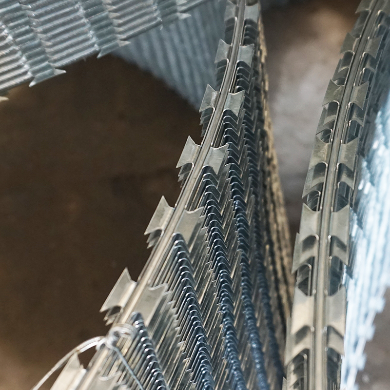 Anti-Rust Hot Dipped Security Fastener 2.5 mm Bto 16 22 Galvanized Concertina Razor Barbed Wire PVC Coated Safety Low Carbon Blade Razor Wire Rolls Anti Climb