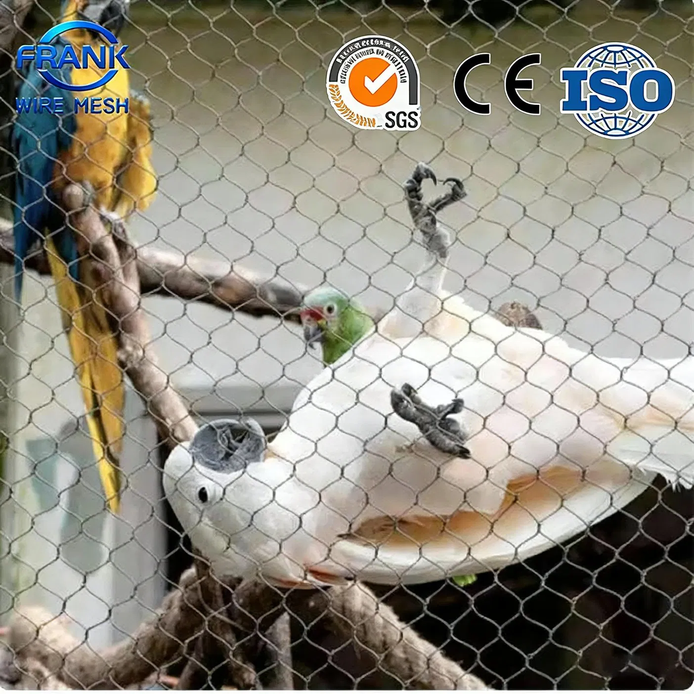 China Hot Sale Factory Price Flexible 304/316 Hand Woven Stainless Steel Knotted Wire Rope Cable Mesh for Zoo Security Fence Aviary Protective Net