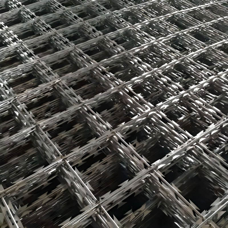 Hot Selling Hot Dipped Galvanized Egoza Wire Cbt65/ Bto30/ Bto-22 Roll Concertina Double Strand Razor Blade Barbed Wire