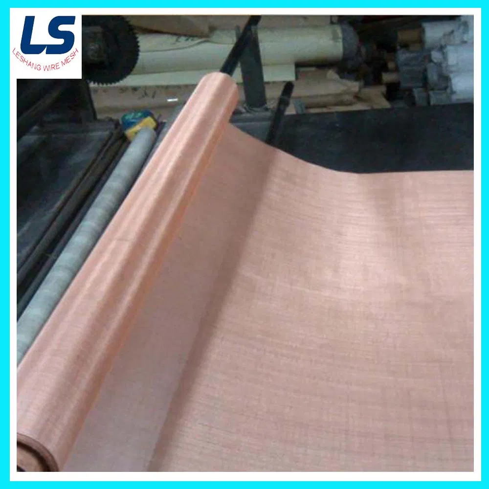 Phosphor Bronze Wire Mesh 10 Mesh to 400 Mesh