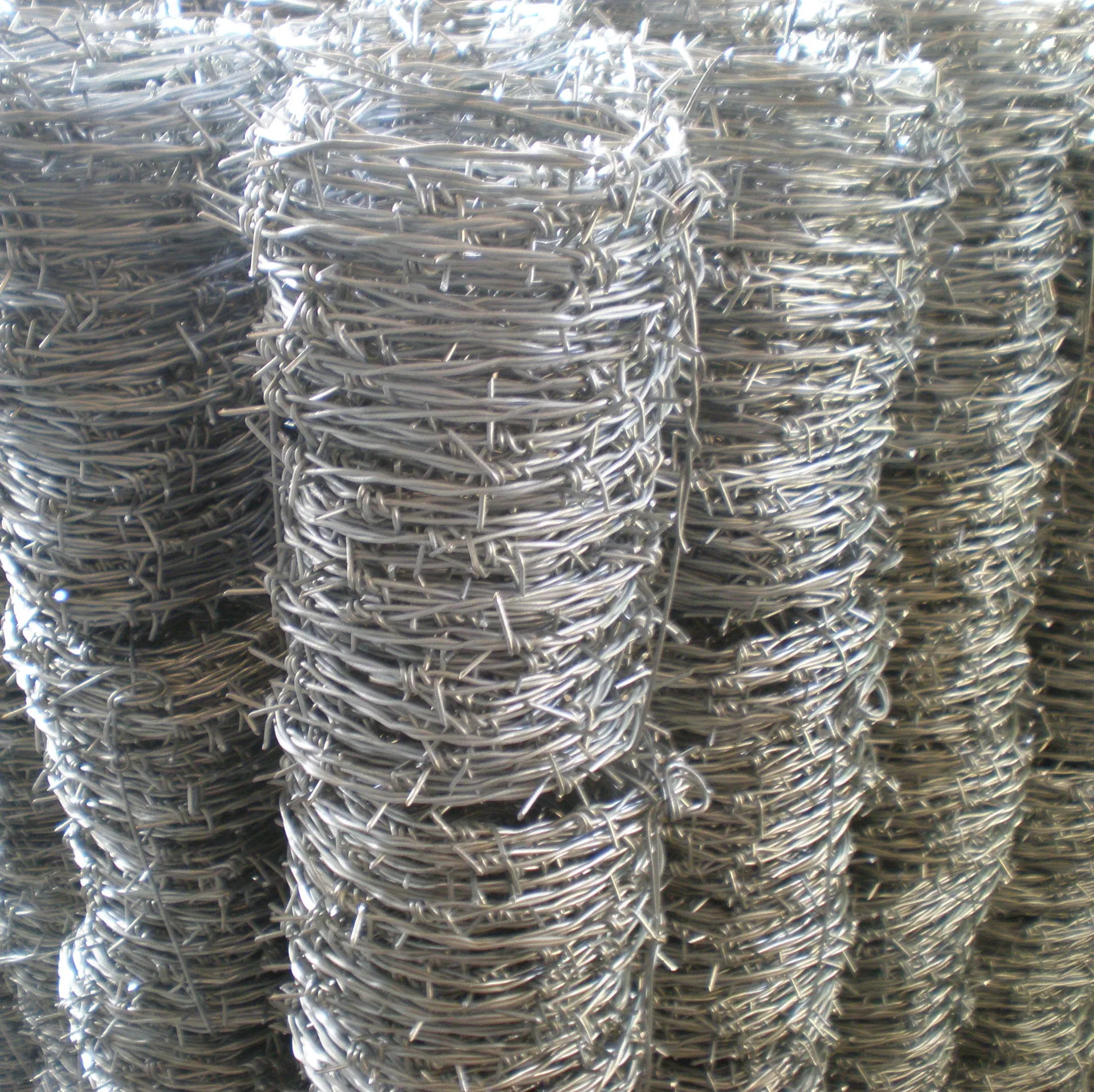 Barbed Wire Detail View